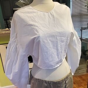 Ultra Chic Zara Crop Top with Puff Sleeves